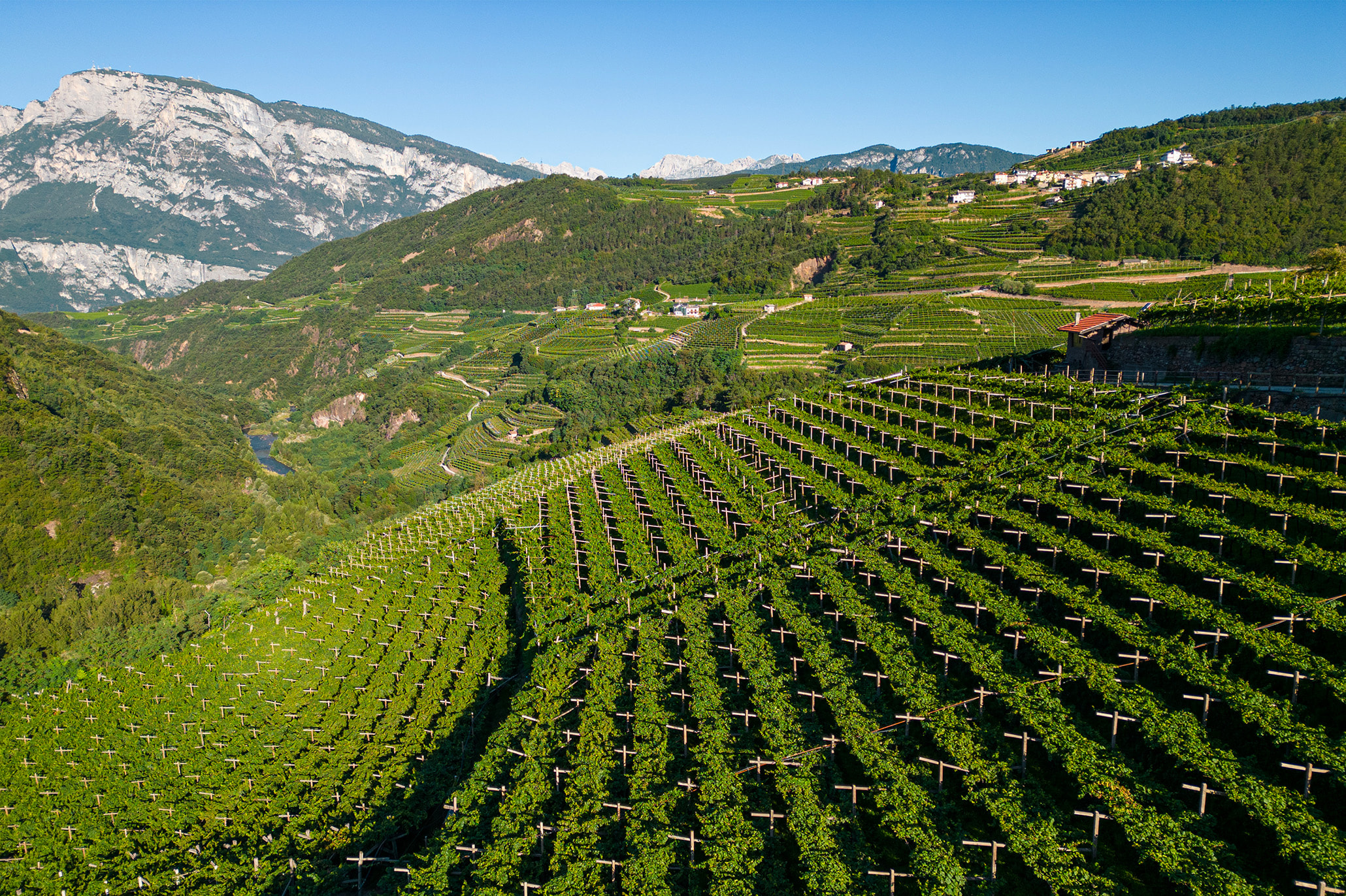 L'unicità del trentino